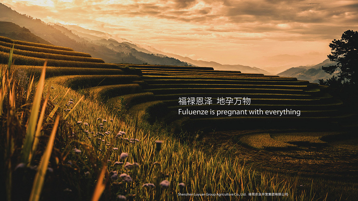 食品公司VI設(shè)計(jì)