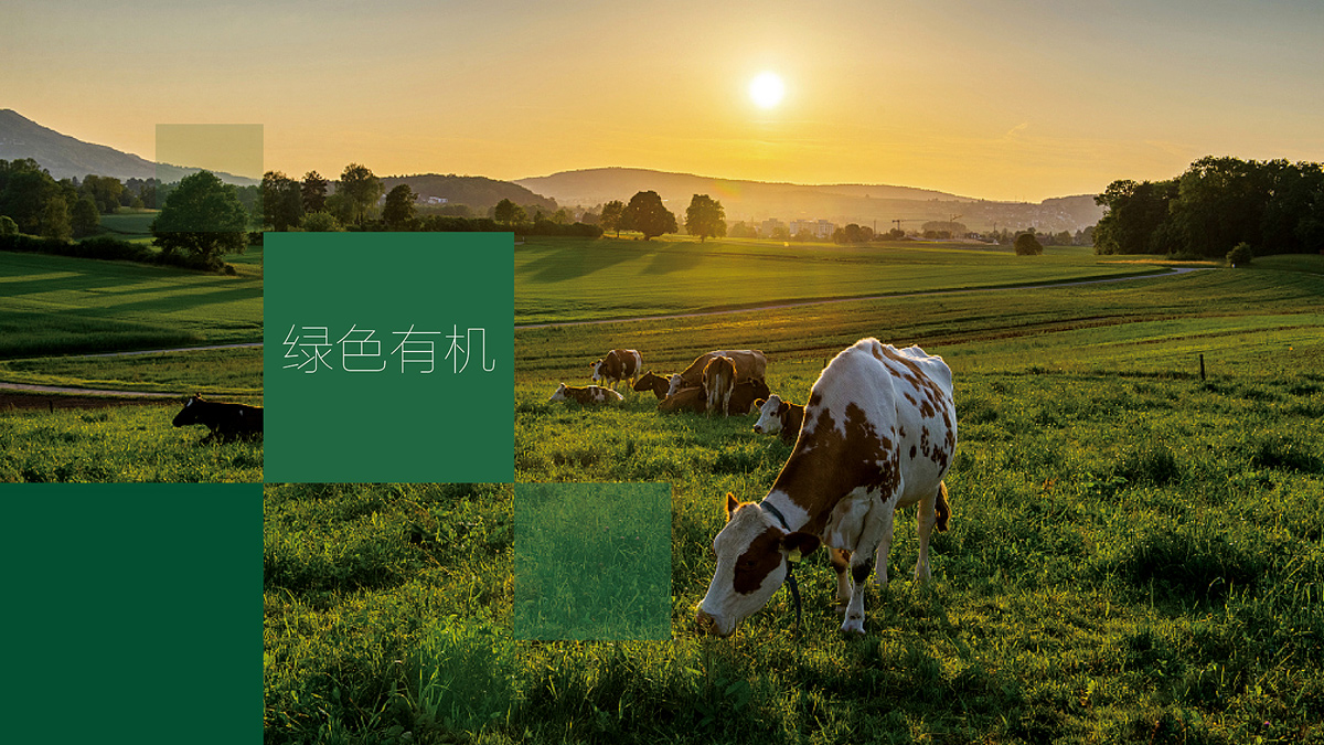 食品行業(yè)VI設(shè)計(jì)