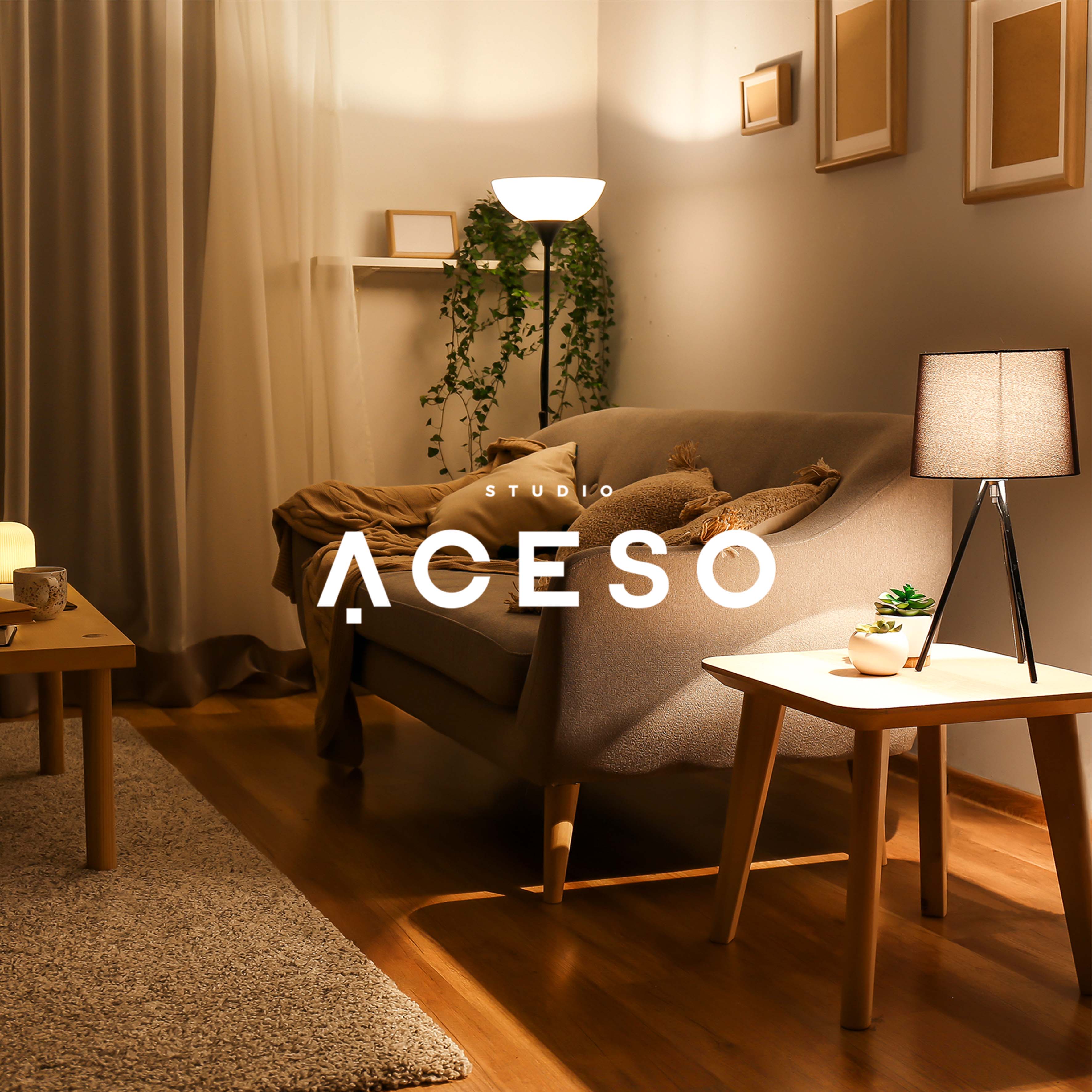 Studio Aceso 品牌設(shè)計(jì)