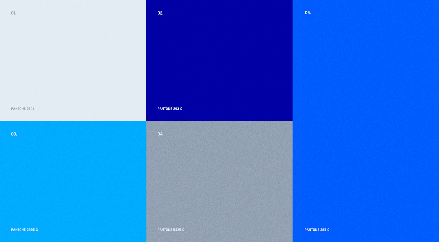 Blue 5 Solutions 品牌色彩