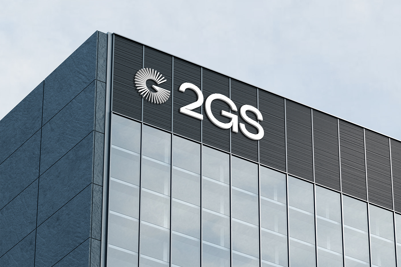 2GS 會(huì)計(jì)公司品牌LOGO應(yīng)用